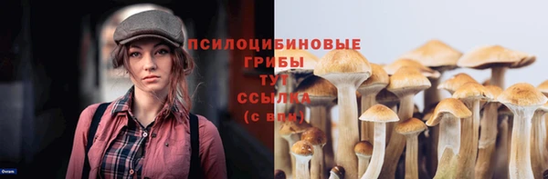 кристаллы Горняк