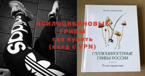 apvp Горно-Алтайск