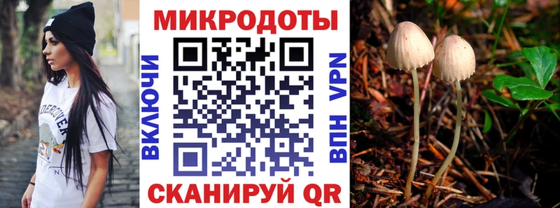 купить закладку  Ивангород  гидра   Псилоцибиновые грибы ЛСД 